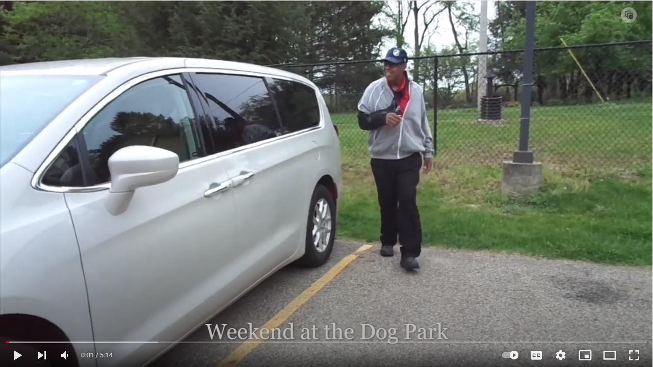 Read more about the article Ernie at the Dog Park
